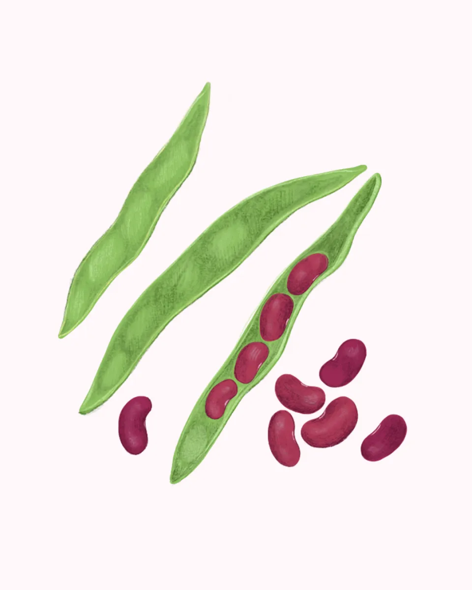 Pexeso Na poli — 7