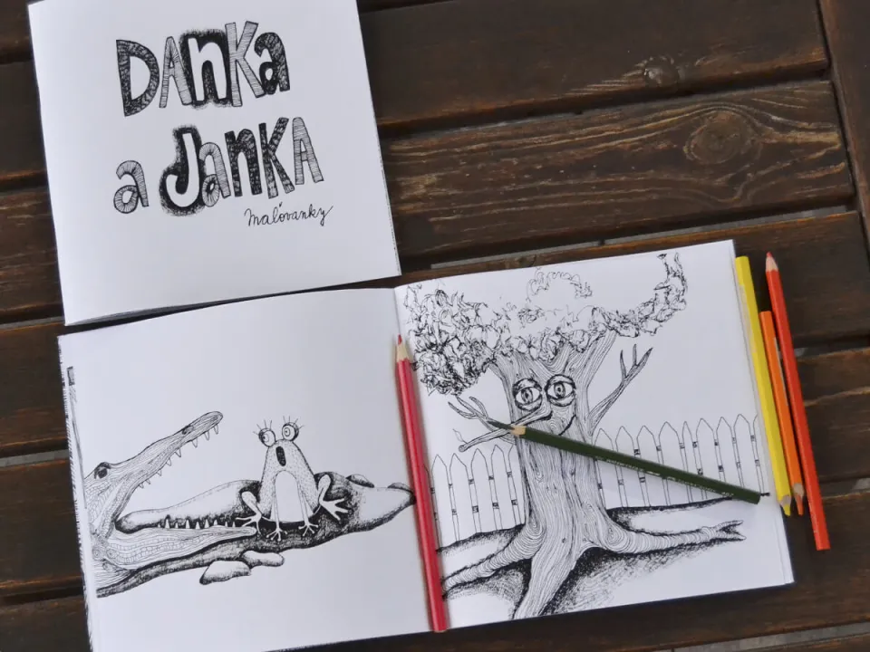 Danka a Janka — 8