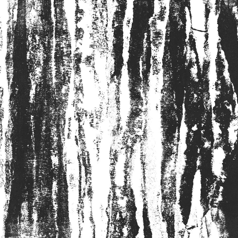 The Criminal – Monotypes — 10
