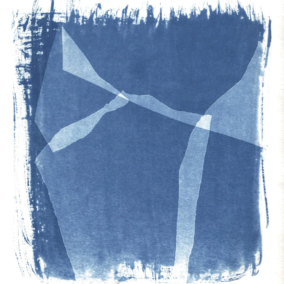 Enthüllt – Cyanotypie — 10