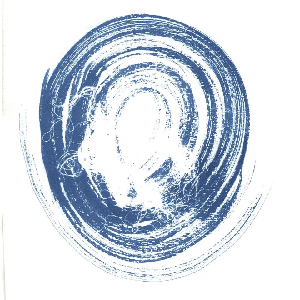 Enthüllt – Cyanotypie — 8