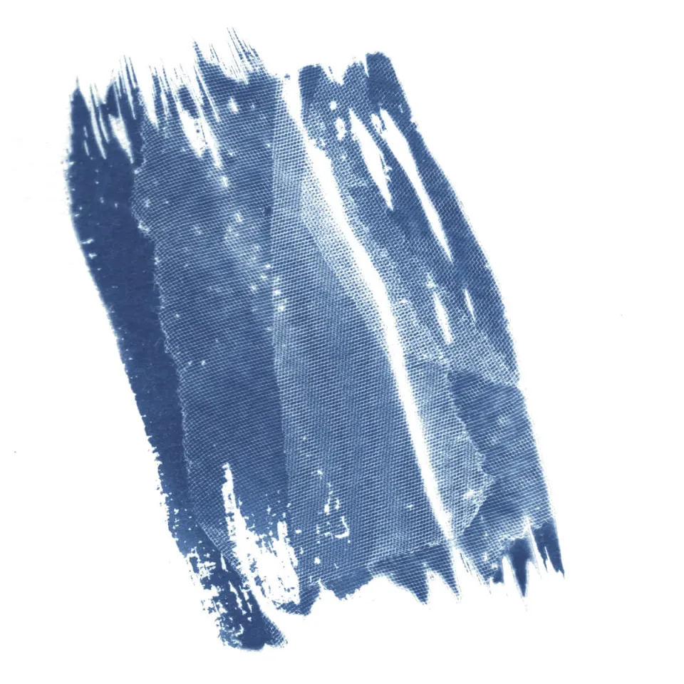 Enthüllt – Cyanotypie — 14