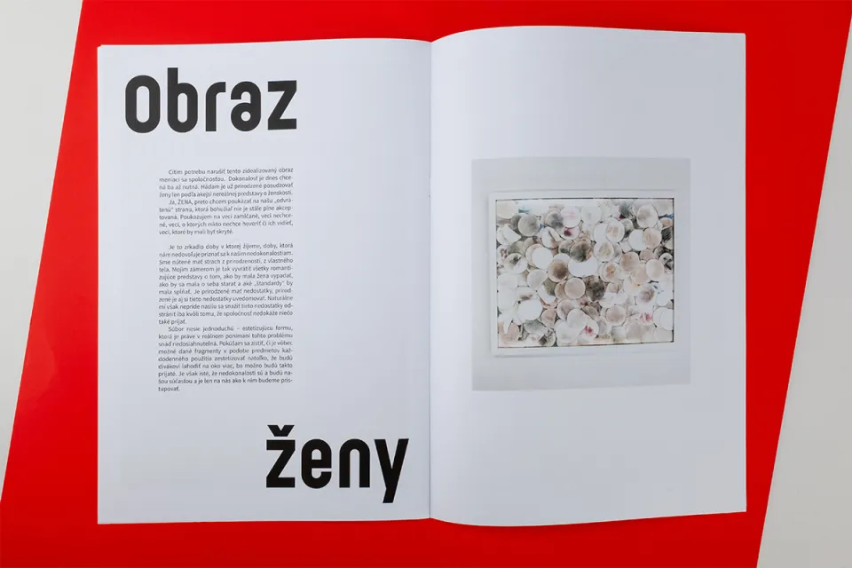 (R)evolúcia obrazu — 9